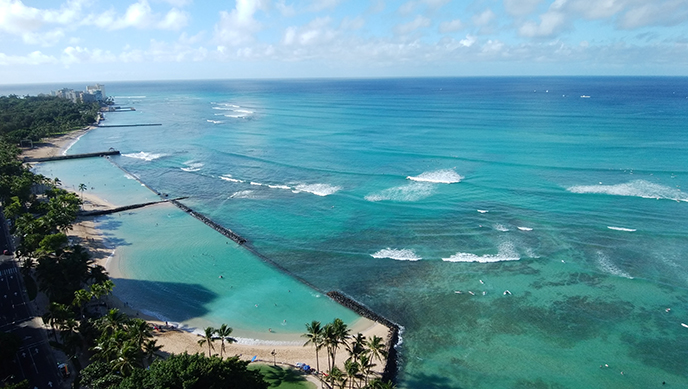 ハワイの青い海の画像